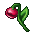 bloodkiss flower