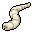 bloated maggot
